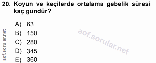 20. soru: Koyun ve keçilerde ortalama gebelik süresi kaç gündür? A) 63 B) 150 C) 280 D) 345 E) 360