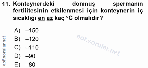 11. soru: Konteynerdeki donmuş spermanın fertilitesinin etkilenmesi için konteynerin iç sıcaklığı en az kaç °C olmalıdır? A) -1…