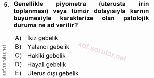 5. soru: Genellikle piyometra (uterusta irin toplanması) veya tümör dolayısıyla karnın büyümesiyle karakterize olan patolojik…