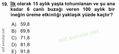19. soru: Ilk olarak 15 aylık yaşta tohumlanan ve şu ana kadar 6 canlı buzağı veren 100 aylık bir ineğin üreme etkinliği yaklaş…