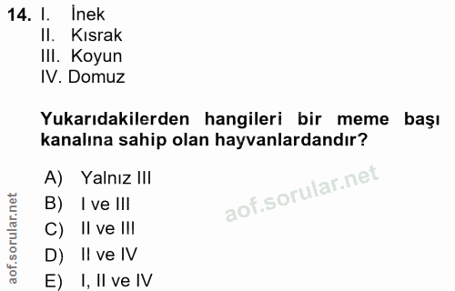 14. soru: l. Inek II. Kısrak IlI. Koyun IV. Domuz Yukarıdakilerden hangileri bir meme başı kanalına sahip olan hayvanlardandır?…