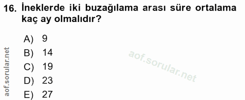 16. soru: İneklerde iki buzağılama arası süre ortalama kaç ay olmalıdır? A) 9 B) 14 C) 19 D) 23 E) 27
