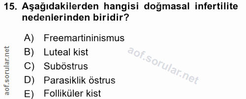 15. soru: Aşağıdakilerden hangisi doğmasal infertilite nedenlerinden biridir? A) Freemartininismus B) Luteal kist C) Suböstrus…