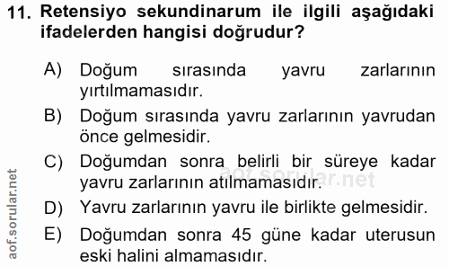 11. soru: Retensiyo sekundinarum ile ilgili aşağıdaki ifadelerden hangisi doğrudur? A) Doğum sırasında yavru zarlarının yırtılm…