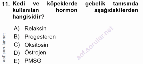 11. soru: Kedi ve köpeklerde gebelik tanısında kullanılan hormon aşağıdakilerden hangisidir? A) Reaksin B) Progesteron C) Oksit…