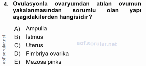 4. soru: Ovulasyonla ovaryumdan atilan ovumun yakalanmasından sorumlu olan yapı aşağıdakilerden hangisidir? A) Ampulla B)Istmu…