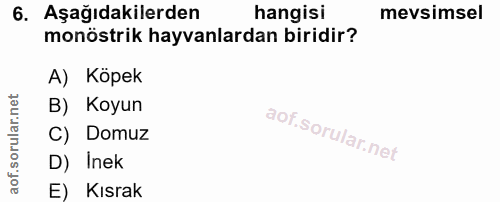 6. soru: Aşağıdakilerden hangisi mevsimsel monöstrik hayvanlardan biridir? А) Корек B) Koyun C) Domuz D) Inek E) Kısrak