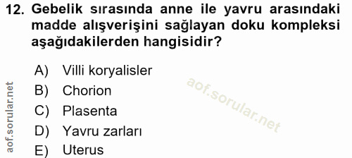 12. soru: Gebelik sırasında anne ile yavru arasındaki madde alışverişini sağlayan doku kompleksi aşağıdakilerden hangisidir? A)…
