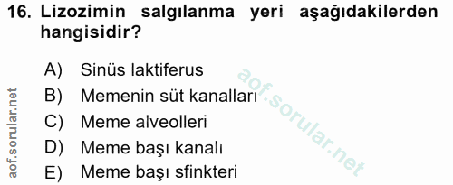 16. soru: Lizozimin salgılanma yeri aşağıdakilerden hangisidir? A) Sinüs laktiferus B) C) Meme alveolleri D) Meme başı kanalı E…