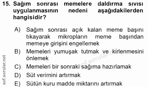 15. soru: Sağım sonrası memelere daldırma SIVISı uygulanmasının nedeni aşağıdakilerden hangisidir? A) Sağım sonrası açık kalan…