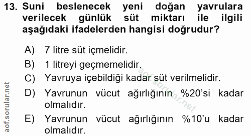 13. soru: Suni beslenecek yeni doğan yavrulara verilecek günlük süt miktarı ile ilgili aşağıdaki ifadelerden hangisi doğrudur?…