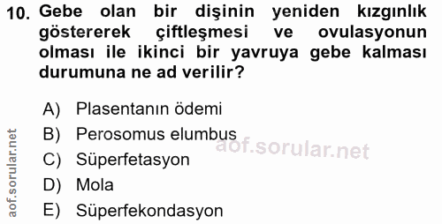 10. soru: Gebe olan bir dişinin yeniden kızgınlık göstererek çiftleşmesi ve ovulasyonun olması ile ikinci bir yavruya gebe kalm…