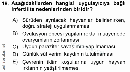 18. soru: Aşağıdakilerden hangisi uygulayıcıya bağlı infertilite nedenlerinden biridir? A) Sürüden ayrılacak hayvanlar belirlen…