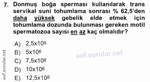 7. soru: Donmuş boğa sperması kullanılarak trans servikal suni tohumlama sonrası % 62,5'den daha yüksek gebelik elde etmek içi…