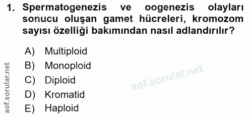 1. soru: Spermatogenezis ve oogenezis olayları sonucu oluşan gamet hücreleri, kromozom sayısı özelliği bakımından nasıl adland…