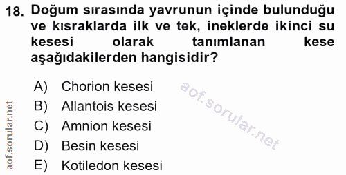 18. soru: Doğum sırasında yavrunun içinde bulunduğu ve kısraklarda ilk ve tek, ineklerde ikinci su kesesi olarak tanımlanan kes…