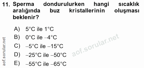 11. soru: Sperma dondurulurken hangi sıcaklık aralığında buz kristallerinin oluşması beklenir? A) 5°C ile 1°C B) 0°C ile -4°C C…