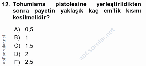 12. soru: Tohumlama pistolesine yerleştirildikten sonra payetin yaklaşık kaç cm'lik kısmı kesilmelidir? A) 0,5 B) 1 C) 1,5 D) 2…