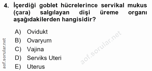 4. soru: İçerdiği goblet hücrelerince servikal mukus (çara) salgılayan dişi üreme organı aşağıdakilerden hangisidir? A) Oviduk…