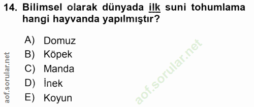 14. soru: Bilimsel olarak dünyada ilk suni tohumlama hangi hayvanda yapılmıştır? A) Domuz B) Köpek C) Manda D) Inek E) Koyun