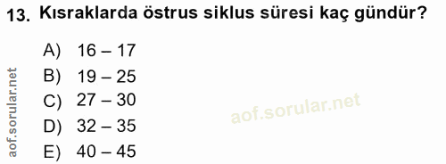 13. soru: Kısraklarda östrus siklus süresi kaç gündür? A) 16 - 17 B) 19-25 C) 27 - 30 D) 32 - 35 E) 40 - 45