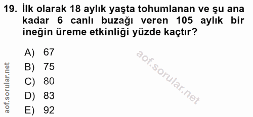 19. soru: İlk olarak 18 aylık yaşta tohumlanan ve șu ana kadar 6 canlı buzağı veren 105 aylık bir ineğin üreme etkinliği yüzde…