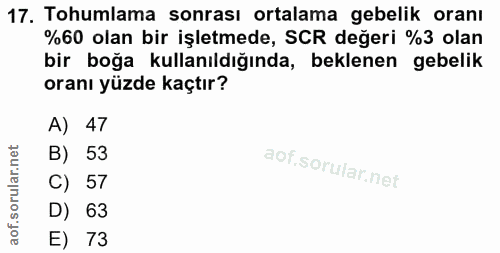 17. soru: Tohumlama sonrası ortalama gebelik oranı %60 olan bir işletmede, SCR değeri %3 olan bir boğa kullanıldığında, beklene…