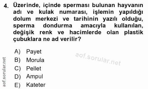 4. soru: Üzerinde, içinde sperması bulunan hayvanın adı ve kulak numarası, işlemin yapıldığı dolum merkezi ve tarihinin yazılı…