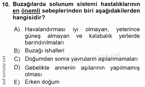 10. soru: Buzağılarda solunum sistemi hastalıklarının en önemli sebeplerinden biri aşağıdakilerden hangisidir? A) Havalandırmas…