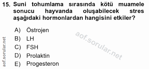 15. soru: Suni tohumlama sırasında kötü muamele sonucu hayvanda oluşabilecek stres aşağıdaki hormonlardan hangisini etkiler? A)…