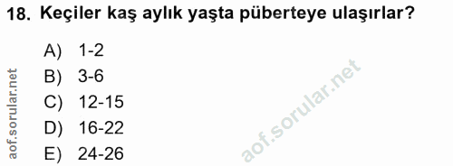 18. soru: Keçiler kaş aylık yaşta püberteye ulaşırlar? A) 1-2 B) 3-6 C) 12-15 D) 16-22 E) 24-26