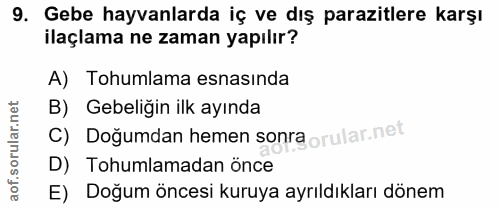 9. soru: Gebe hayvanlarda iç ve dış parazitlere karşı ilaçlama ne zaman yapılır? A) Tohumlama esnasinda B) Gebeliğin ilk ayınd…