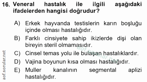 16. soru: Veneral hastalık ile ilgili aşağıdaki ifadelerden hangisi doğrudur? A) Erkek hayvanda testislerin karın boşluğu içind…