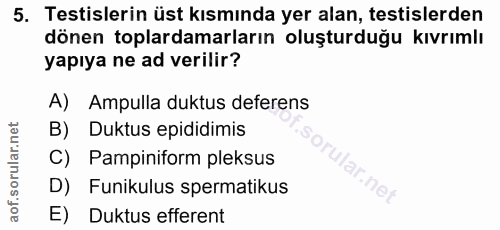 5. soru: Testislerin üst kısmında yer alan, testislerden dönen toplardamarların oluşturduğu kıvrımlı yapıya ne ad verilir? A)…