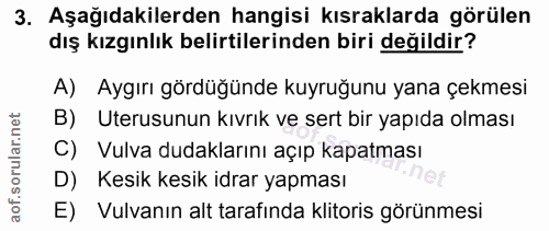3. soru: Aşağıdakilerden hangisi kısraklarda görülen dış kızgınlık belirtilerinden biri değildir? A) Aygırı gördüğünde kuyruğu…