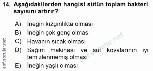 14. soru: Aşağıdakilerden hangisi sütün toplam bakteri sayısını artırır? A) Ineğin kızgınlıkta olması B) Ineğin çok genç olması…