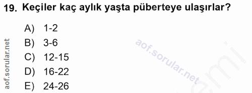 19. soru: Keçiler kaç aylık yaşta püberteye ulaşırlar? A) 1-2 B) 3-6 C) 12-15 D) 16-22 E) 24-26