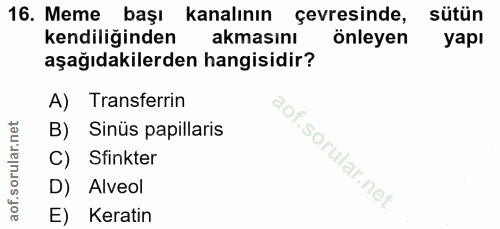 16. soru: Meme başı kanalının çevresinde, sütün kendiliğinden akmasını önleyen yapı aşağıdakilerden hangisidir? A) Transferrin…