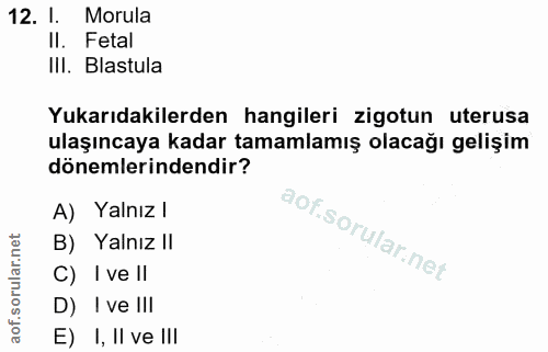12. soru: l. Morula II. Fetal III. Blastula Yukarıdakilerden hangileri zigotun uterusa ulaşıncaya kadar tamamlamış olacağı geli…