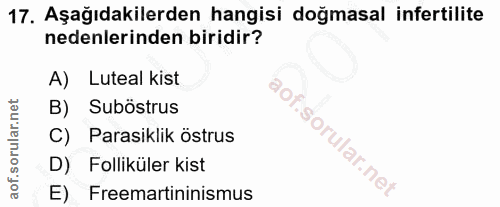 17. soru: Aşağıdakilerden hangisi doğmasal infertilite nedenlerinden biridir? A) Luteal kist B) Suböstrus C) Parasiklik östrus…