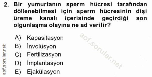 2. soru: Bir yumurtanın sperm | hücresi tarafından döllenebilmesi için sperm hücresinin dişi üreme kanalı içerisinde geçirdiği…