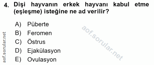 4. soru: Dişi hayvanın erkek hayvanı kabul etme (eşleşme) isteğine ne ad verilir? A) Püberte B) Feromen C) Östrus D) Ejakülasy…
