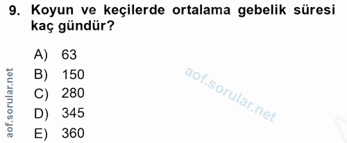 9. soru: Koyun ve keçilerde ortalama gebelik süresi kaç gündür? A) 63 B) 150 C) 280 D) 345 E) 360