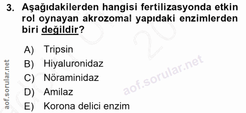 3. soru: Aşağıdakilerden hangisi fertilizasyonda etkin rol oynayan akrozomal yapıdaki enzimlerden biri değildir? A) Tripsin B)…