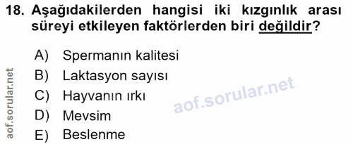 18. soru: Aşağıdakilerden hangisi iki kızgınlık arası süreyi etkileyen faktörlerden biri değildir? A) Spermanın kalitesi B) Lak…