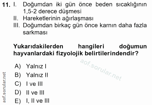 11. soru: I. Doğumdan iki gün önce beden sıcaklığının 1,5-2 derece düşmesi Il. Hareketlerinin ağırlaşması IlI. Doğumdan birkaç…