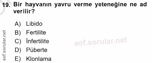 19. soru: Bir hayvanın yavru verme yeteneğine ne ad verilir? A) Libido rular.net B) Fertilite C) Infertilite D) Püberte aof. E)…