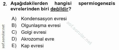 2. soru: Aşağıdakilerden hangisi spermiogenezis evrelerinden biri değildir? A) Kondensasyon evresi B) Olgunlaşma evresi C) Gol…