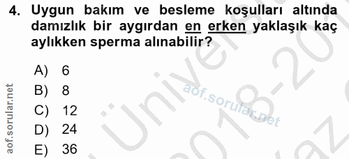 4. soru: Uygun bakım ve besleme koşulları altında damızlık bir aygırdan en erken yaklaşık kaç aylıkken sperma alınabilir? A) 6…