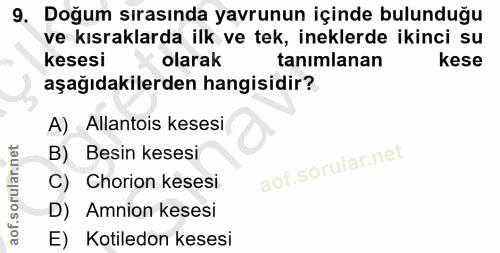9. soru: Doğum sırasında yavrunun içinde bulunduğu ve kısraklarda ilk ve tek, ineklerde ikinci su kesesi olarak tanımlanan kes…